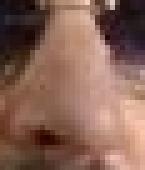 RingosNose's profile picture. I AM RINGO'S NOSE