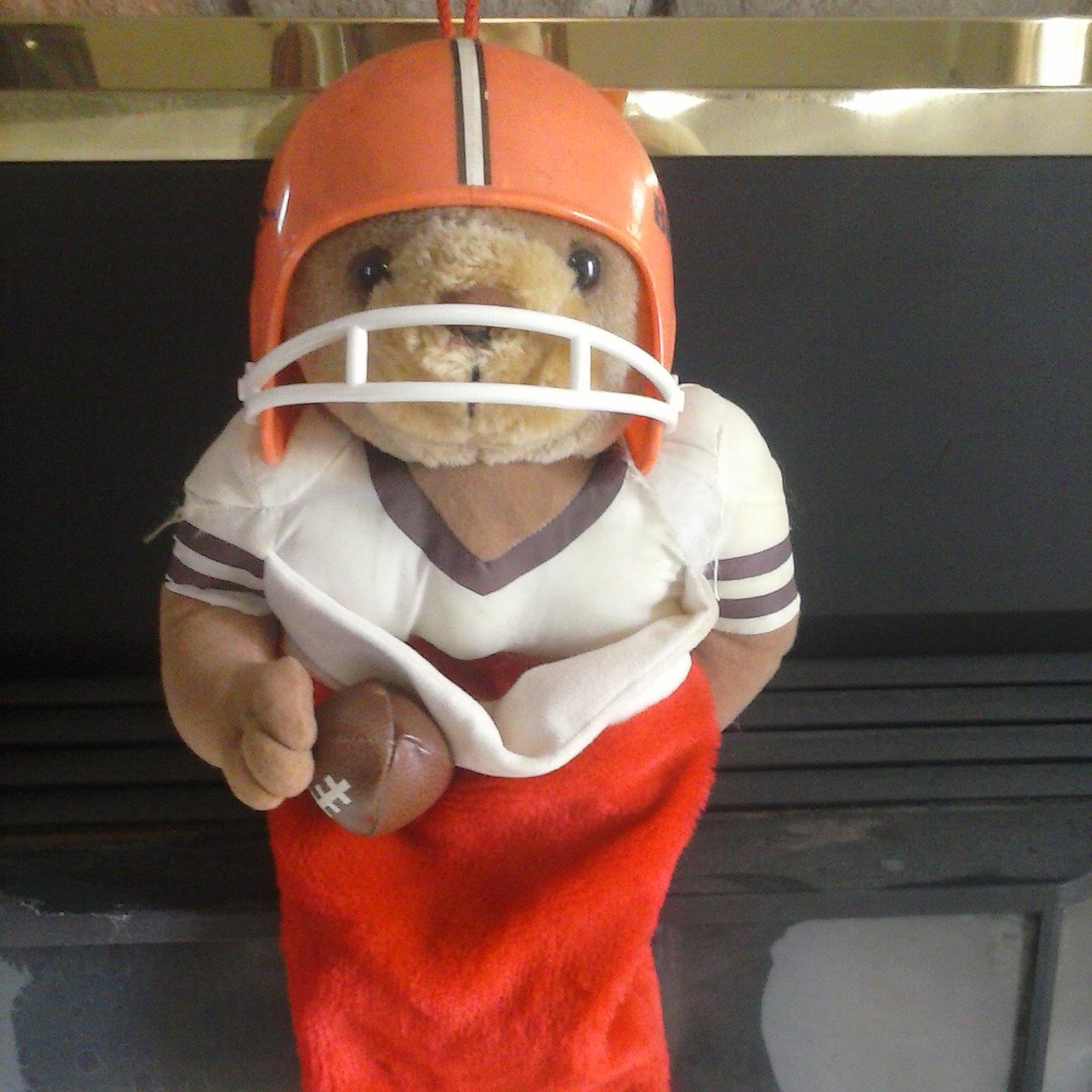 Go Browns!!!SOME DOGS LOVE THE POUND.
