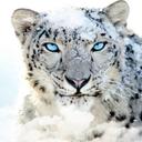 John George - @JohnGeorg3 - Twitter