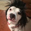 Perry Ratliff - @Pratliff91Perry - Twitter