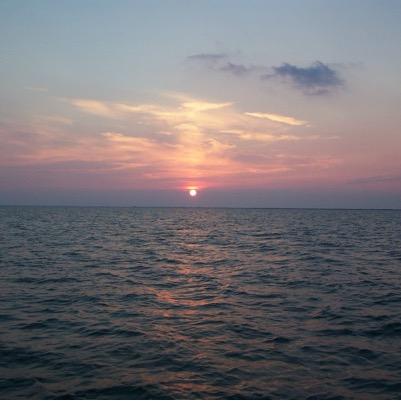 swestbrook1971's profile picture. Business Development Manager for WILA USA