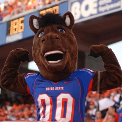 Your girls favorite mascot. Fiesta Bowl '07, '10, & '14