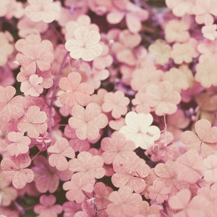 DenningJemina's profile picture. General twitteraholic   Hipster-friendly travel practitioner # ,   studies in,  Lifelong social media specialist