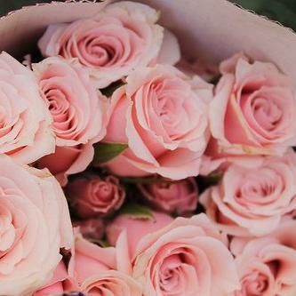 DennisJessenia's profile picture. 