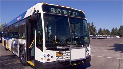 What happens in my nose when travelling on local public transit.