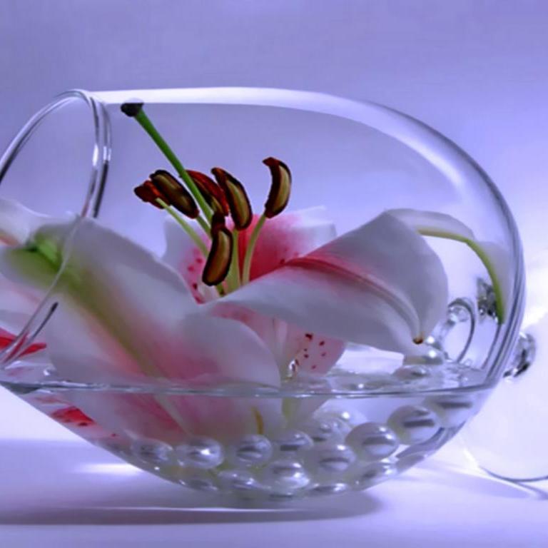 nadeem918's profile picture. 