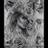Sarafara13Sara's profile image