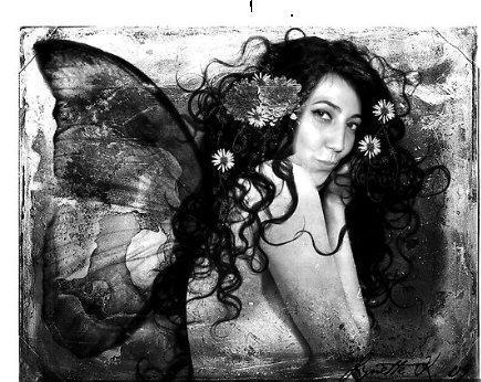 pripirillo's profile picture. 