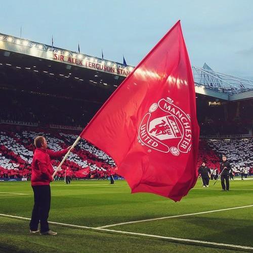 Tareq95Saleh's profile picture. 