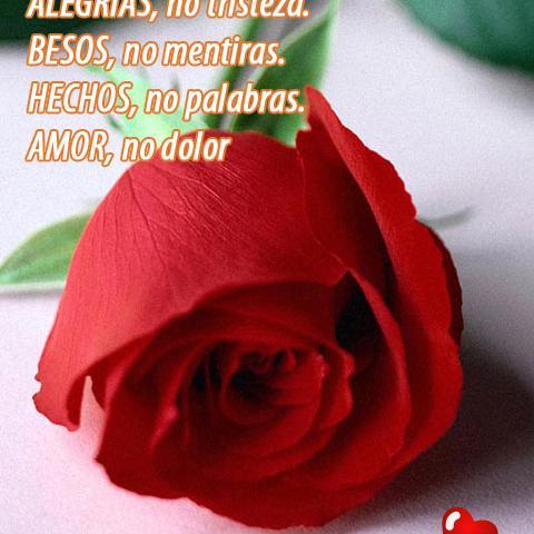 Plantar una flor es creer en mañana ...