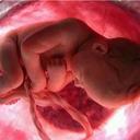 Pace - @Marisa_Pace3 - Twitter