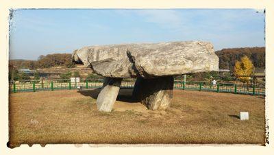 sala1979811's profile picture. 