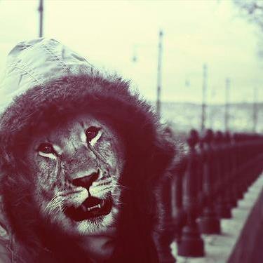 JeffAirplanes's profile picture. wanderlust sem direção