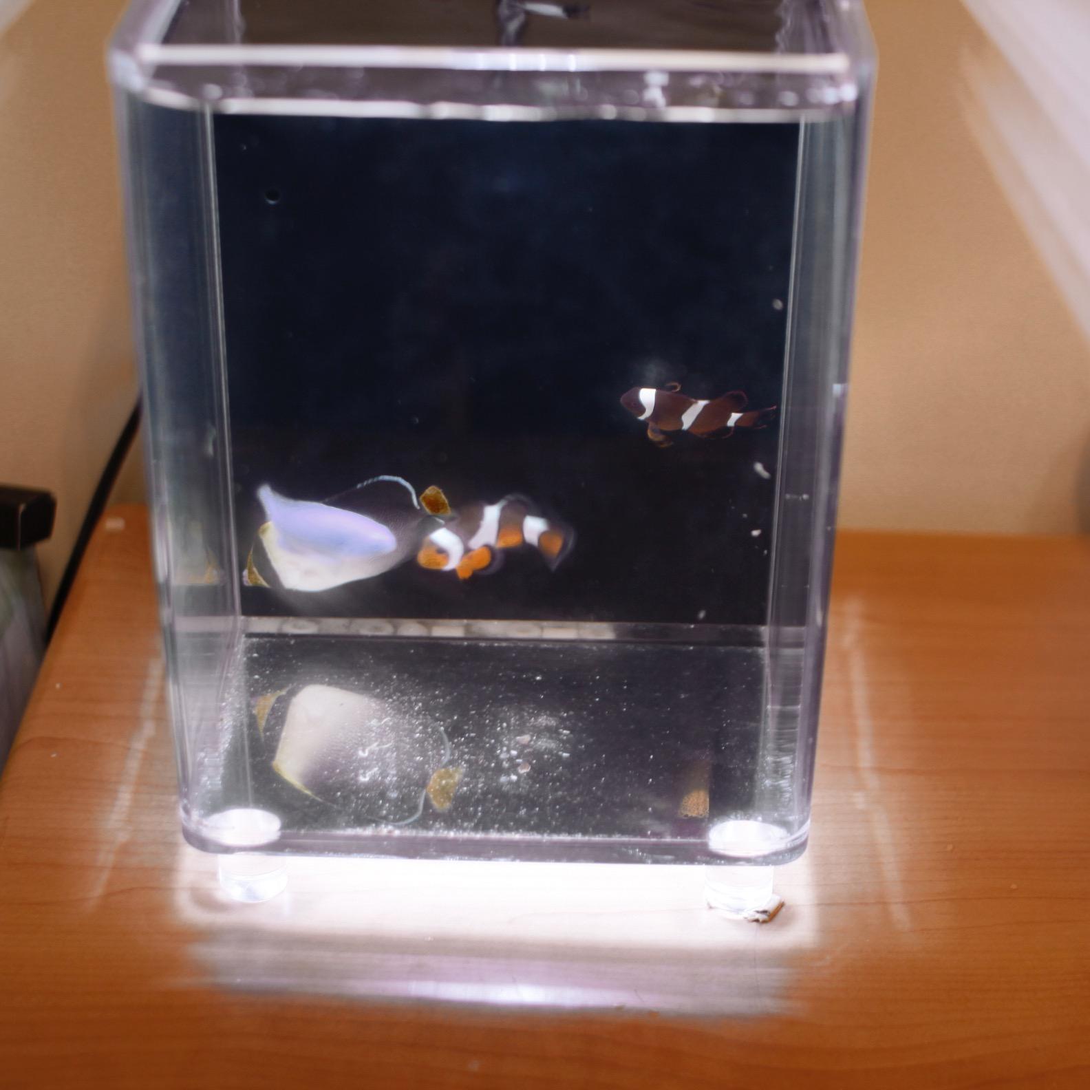 johnnykwong1226's profile picture. 