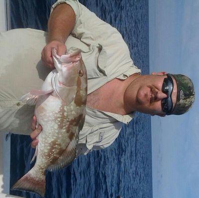 loggerhead247's profile picture. 