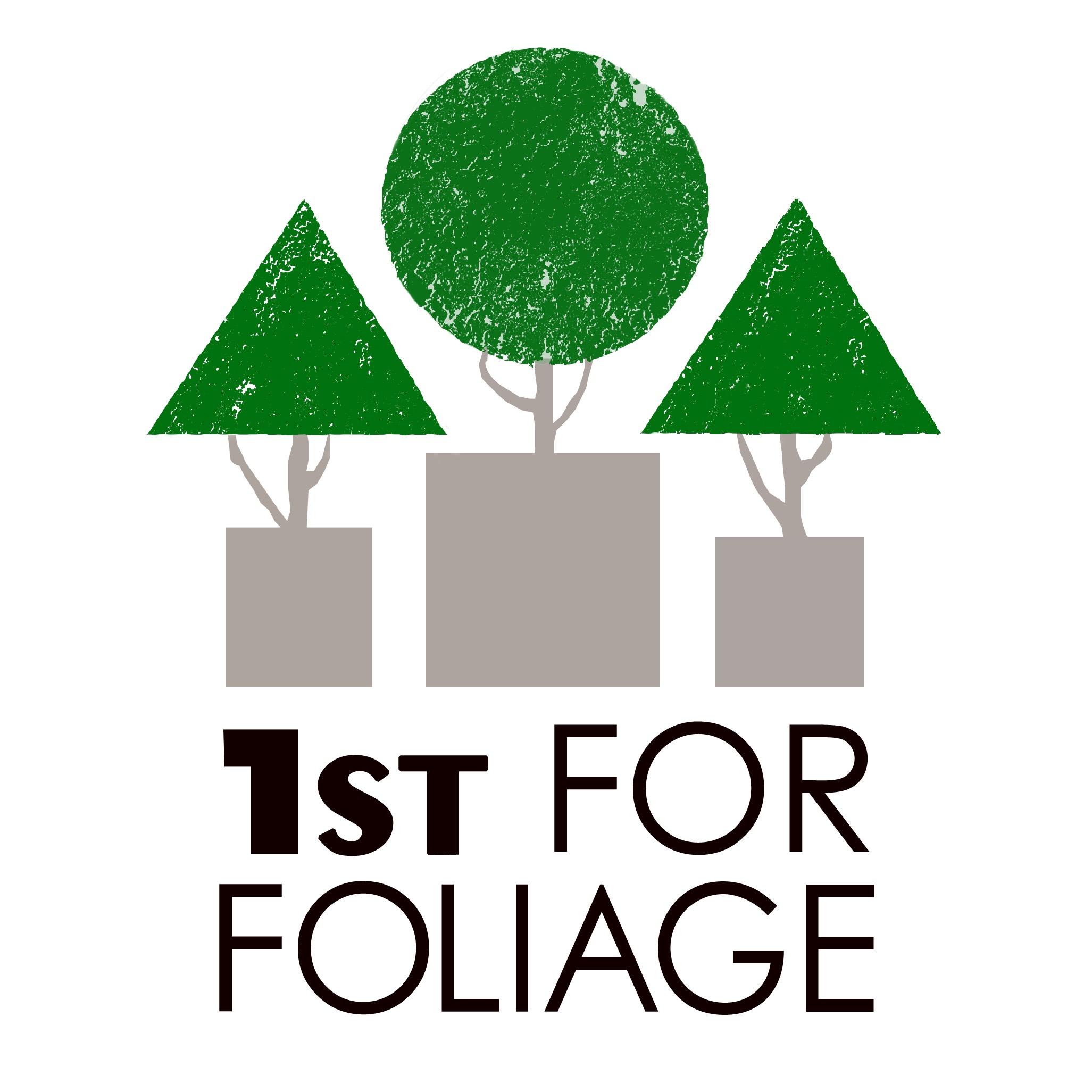 Formed in 1990, 1st For Foliage has become well established in the interior landscaping industry, operating primarily in London and the home counties.