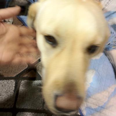 muniel62 Profile Picture