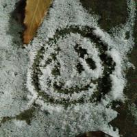 투명에 가까운 블루 (@kisstheblue) 's Twitter Profile