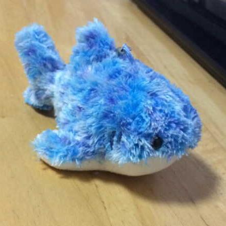 FT8メインで運用しているアパマンハム。釣り竿アンテナでDXを追いかける日々。ブログに自作・実験ネタあり。(１アマ)