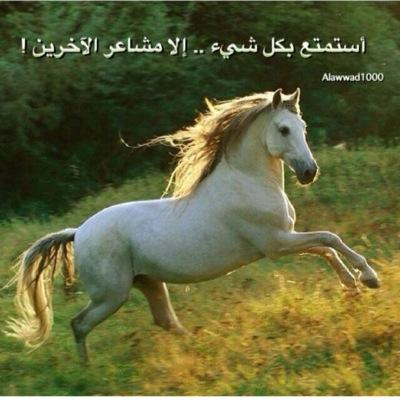 ما أجمل سعادة عندما تملك قلب خالي لايسكنه احدا