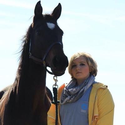 ♔Hunters/Jumpers♔ I love my boys (Sebastian the Hanoverian ans Tré the off the track QH)