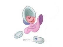 aL4W5O8kPGuu0Vk's profile picture. スマホ用です