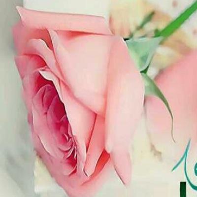 asomasoma95's profile picture. 