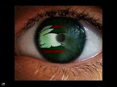 SSTID❤️💚❤️💚