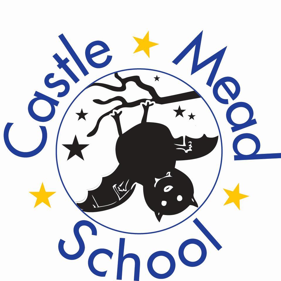 Castle Mead School