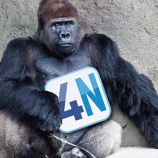 4Networking works – hundreds of 4N members have told us how 4N has changed their business and even their lives! Come and see what 4Networking can do for you..