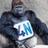 4NSurreySWLond's profile image