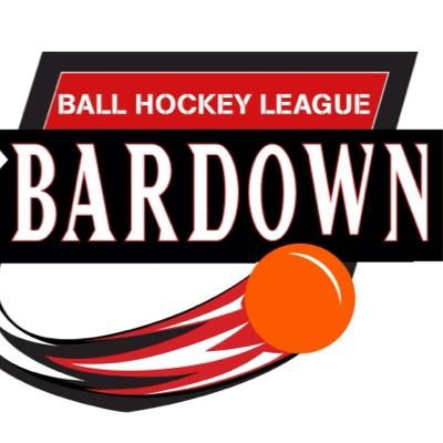 New Mens and Womens Ball Hockey League in Burlington

OBHF/CBHA/Hockey Canada