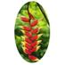 Excellent Plants Ltd (@excellentplants) Twitter profile photo Excellent Plants Ltd (@excellentplants) Twitter profile photo
