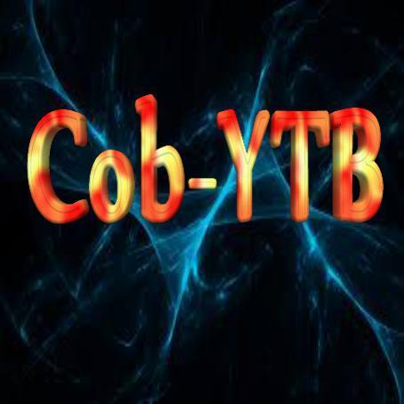 Salut à tous, c'est le Twitter de la chaîne YouTube Cob-YTB, c'est ici qu'on vous donnera des nouvelles https://t.co/s4UlYkMs7t