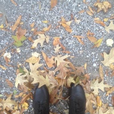 RsPetsnail's profile picture. RS since 2003