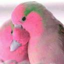 nouman abbasi (@03023412775Ali) Twitter