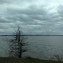 Beverly Easterling - @bteasterling - Twitter