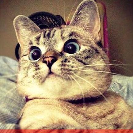 BakBoyleOlmali's profile picture. en iyi tweetler, etkileyici sözler için doğru adresdesin. Ve Sen Yoksan Bir Kişi Eksiğiz. ☺ ~