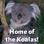 CowlishawCares's profile picture. Instilling a lifelong love of service in 4th and 5th grade students who participate.  Empowering students to volunteer beyond the classroom and school setting.