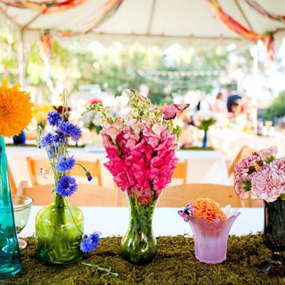 DietrichLani's profile picture. 