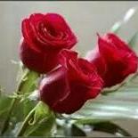 مسقط (@sahersalem23) 's Twitter Profile