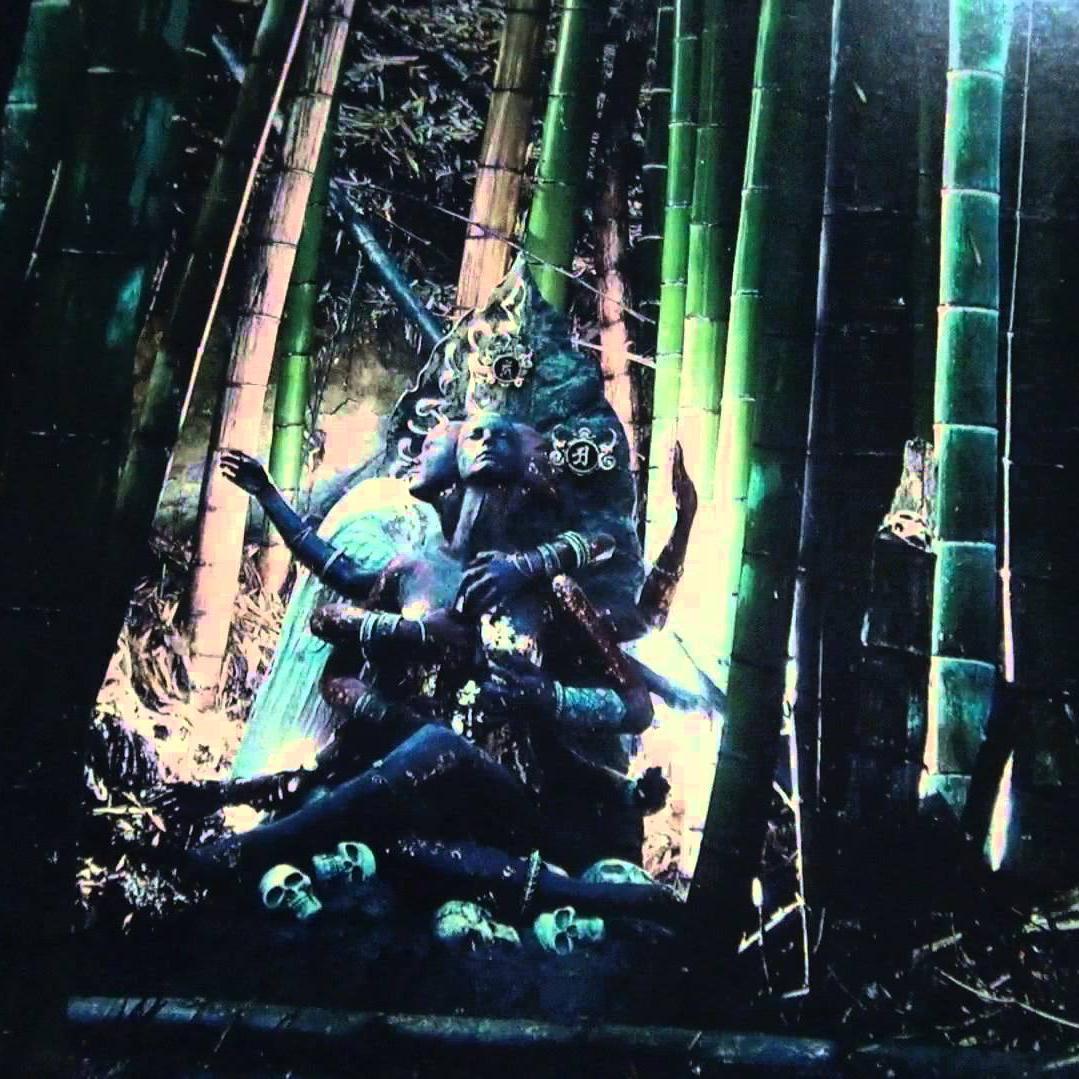 ActivarWinter's profile picture. 