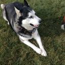 Kasey Barber - @BarberKasey - Twitter