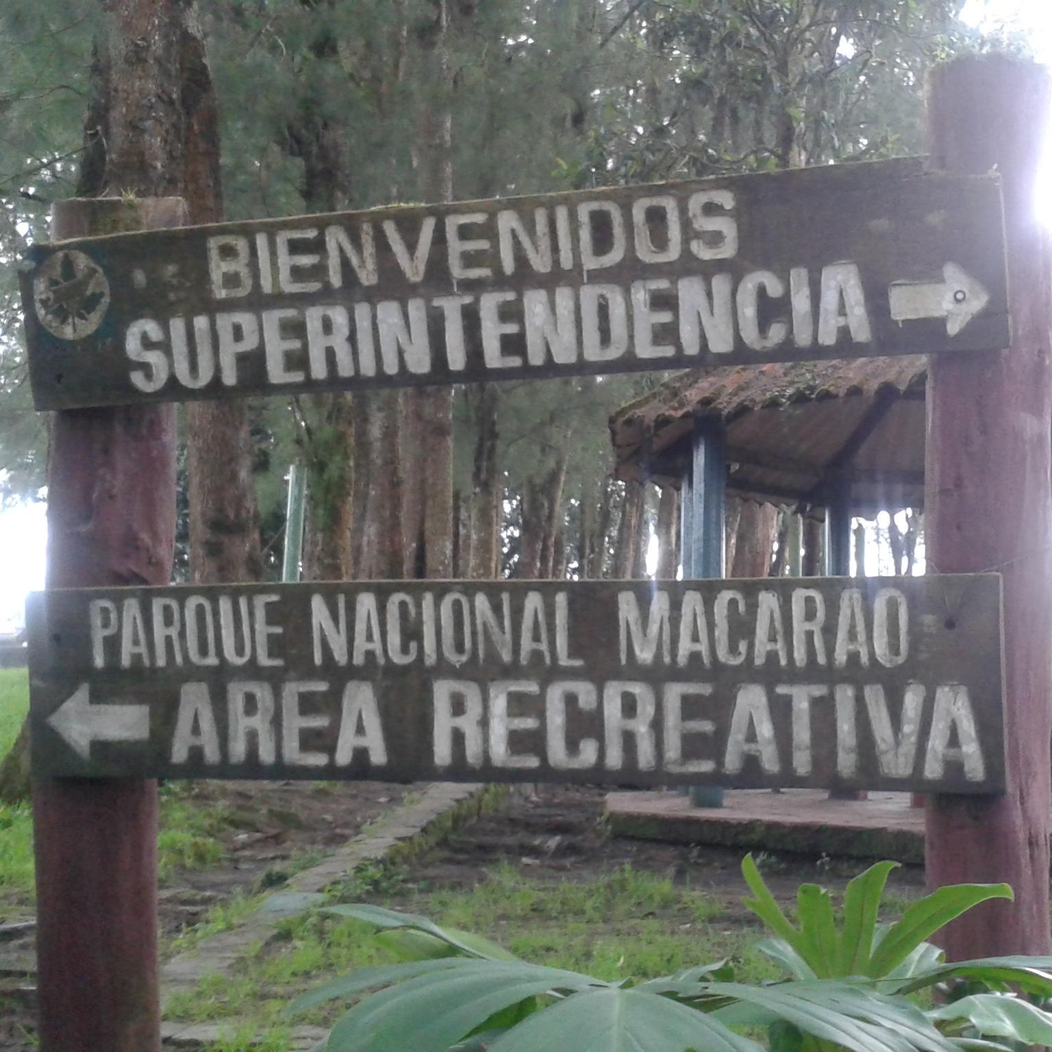 Somos voluntarios, no somos ente oficial

Creado en 1973 como Parque Nacional, con 15.000 hectáreas, el PN abarca Distrito Capital y Estado Miranda

#PNMacarao