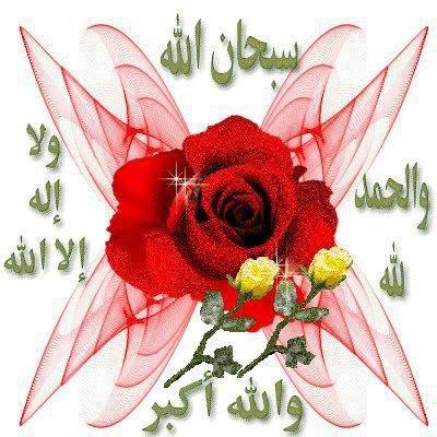 i am a muslimah