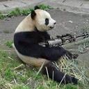 Cory Arnold - @CoryArnold8 - Twitter