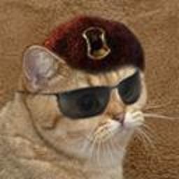 Friendly Neighborhood NCR 1st Recon Cat | Auto-blocking blue checks

he/him