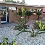 Angel Valley Funeral Home and Old Pueblo Crematory provide all of your funeral and cremation needs in southern Arizona. #AngelValleyFuneralHome