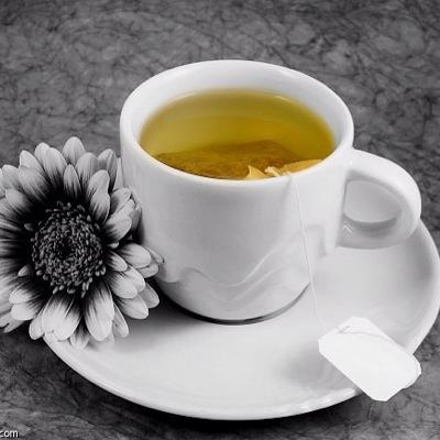 سبحان الله وبحمده  -  سبحان الله العظيم