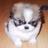 CTCLiveWire's profile image